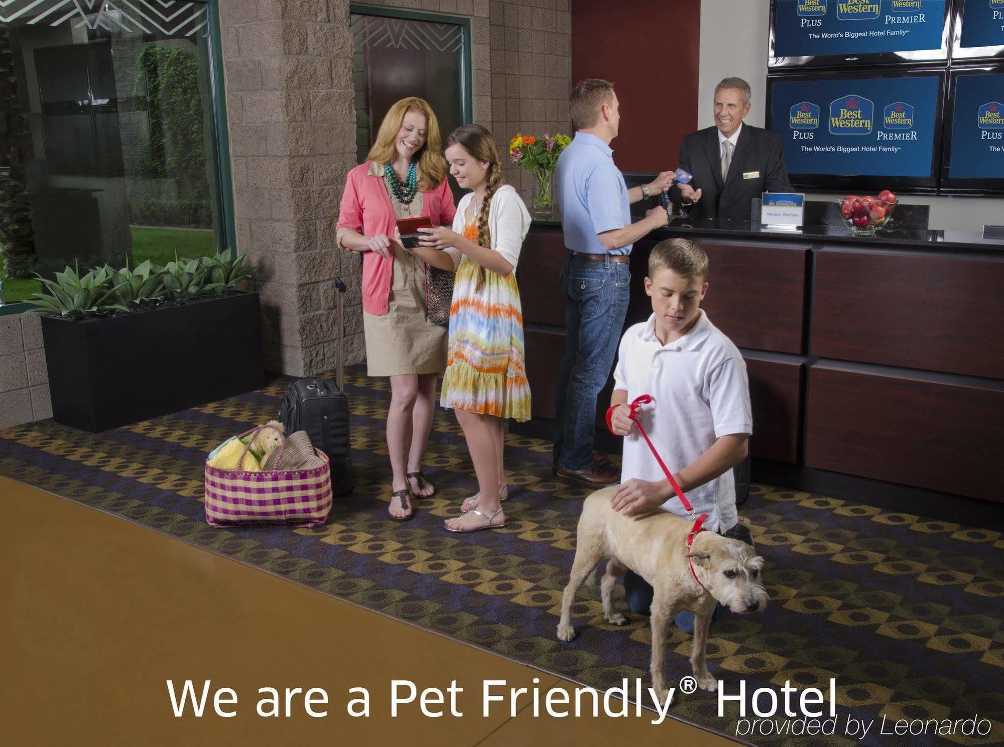 Western Premier Crown Chase & Hotel 3*